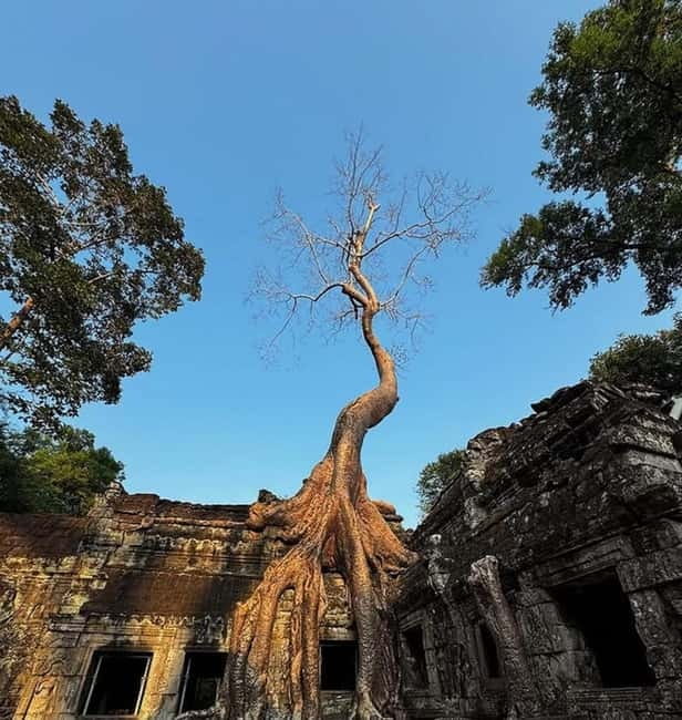 Siem Reap: Angkor 1-Day Private Tour with Sunset or Sunrise - The one-day sunset plan: South Gate, Bayon smiles, then Phnom Bakheng