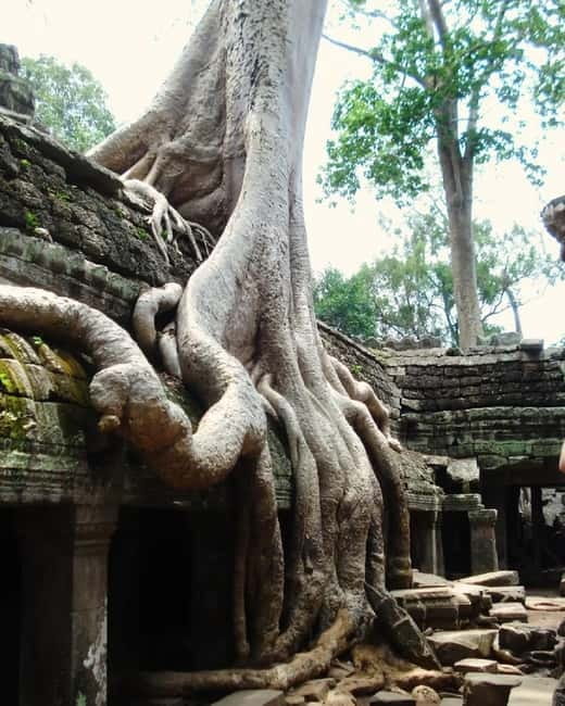 Siem Reap: Angkor 1-Day Private Tour with Sunset or Sunrise - What your guide actually does for you (beyond facts)
