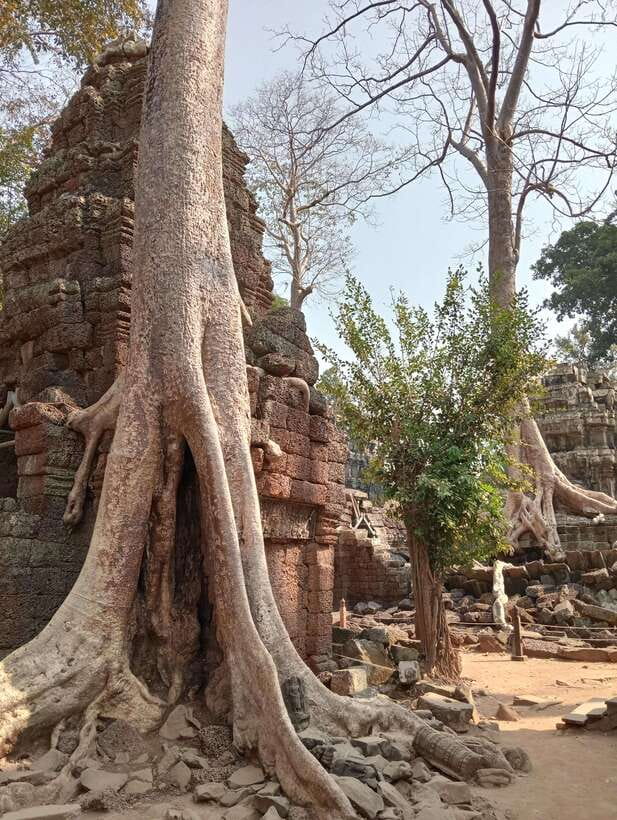 Siem Reap: Angkor Full-Day Group Tour with Japanese Guide - Key highlights you should care about
