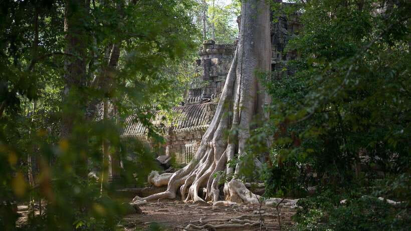 Siem Reap: Angkor Temples Off-Track Bicycle Tour - Key highlights to look for