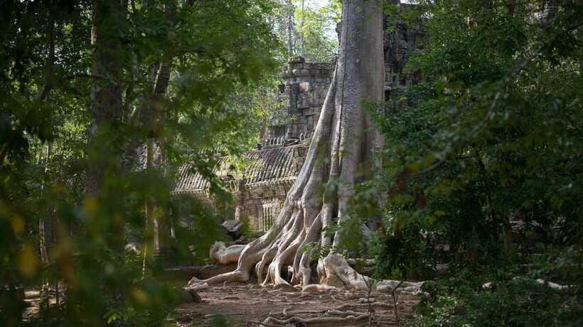 Siem Reap: Angkor Temples Off-Track Bicycle Tour - Angkor Thom by bike: South Gate and Bayon without the wall of people