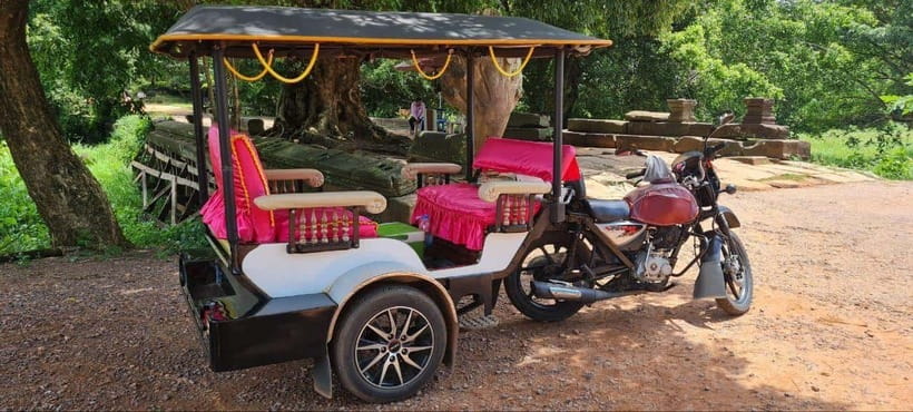 Siem Reap: Angkor Temples Tour by a Private Tuk Tuk - Ta Prohm and Tomb Raider fame, but stay for the stone and roots