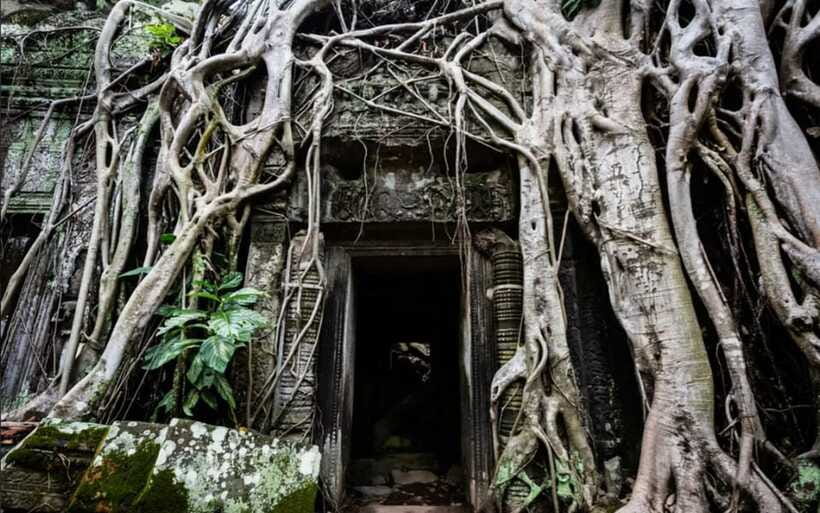 Siem Reap: Angkor Temples Tour - Shared Tours tours guide - Angkor Wat later in the day, with trees around the stones