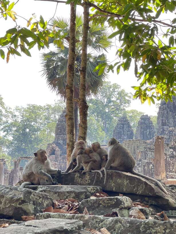 Siem Reap: Angkor Wat Private full Day Tour - Guide quality and those small comfort details