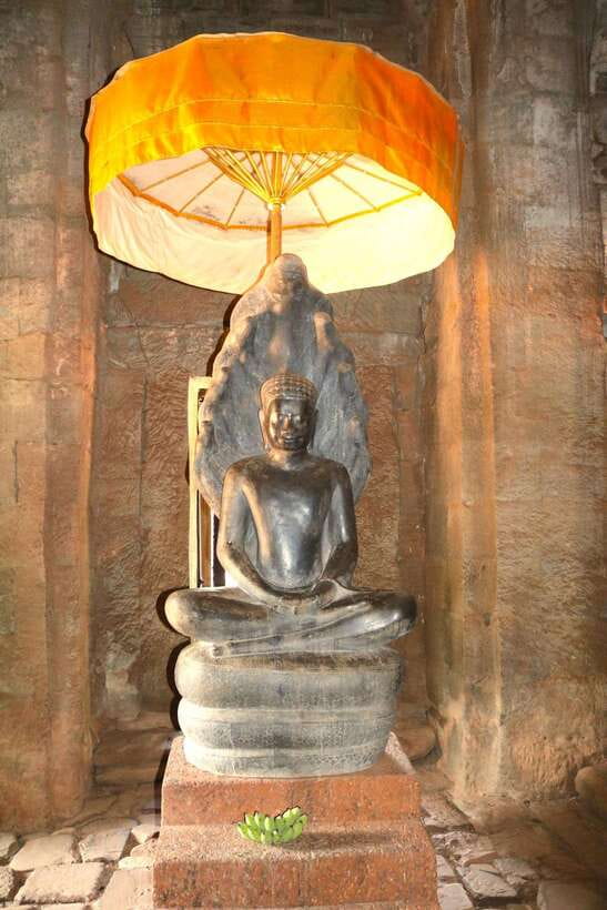 Siem Reap: Angkor Wat: Small-Group with Sunset Tour - Ta Prohm: the temple that feels alive