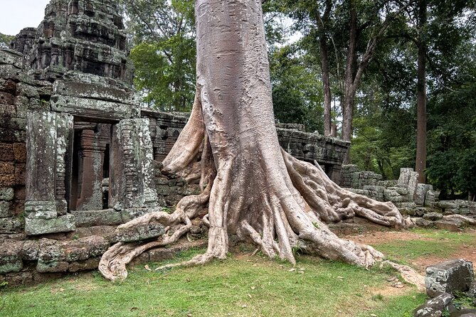 Siem Reap: Angkor Wat Sunrise Bike Tour & Jungle Breakfast - Angkor Wat sunrise: how the timing helps your photos and your brain