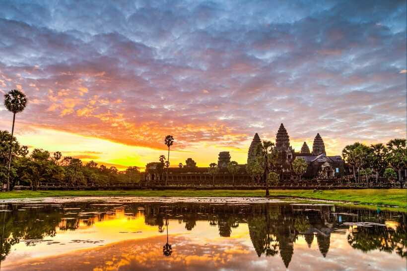 Siem Reap: Angkor Wat Sunrise Bike Tour & Jungle Breakfast - Ta Prohm, the Tomb Raider temple, with roots in the walls