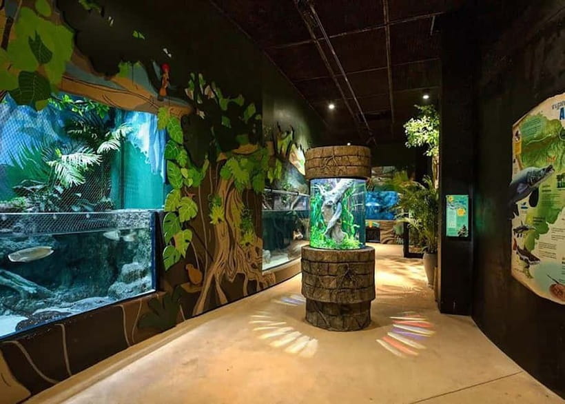 Siem Reap: Angkor Wildlife & Aquarium Entrance Ticket - Angkor Wildlife & Aquarium: the 2 to 3 hour experience you can actually plan