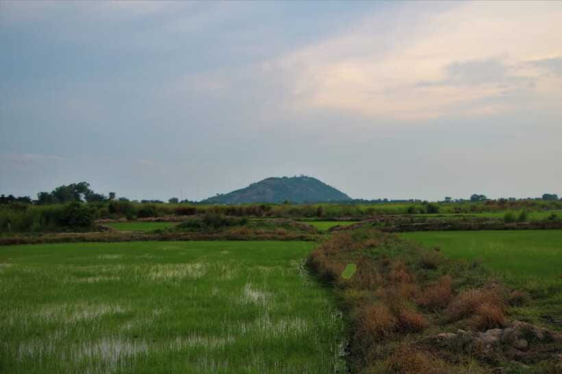 Siem Reap: Countryside Cycle and Local Village Life Tour - Value for Money: Why $32 Can Actually Be a Smart Deal