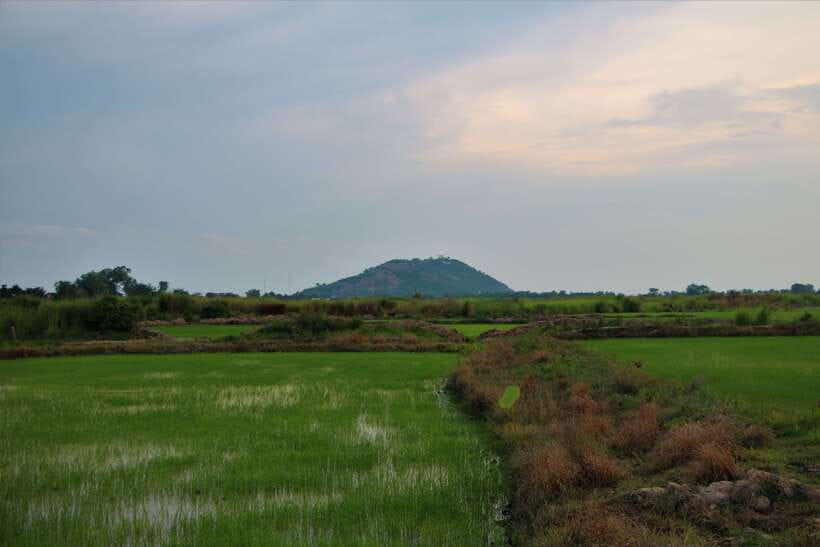 Siem Reap: Countryside Cycle and Local Village Life Tour - Your 4-Hour Route: Pickup, Village Stops, and a Lotus Sunset