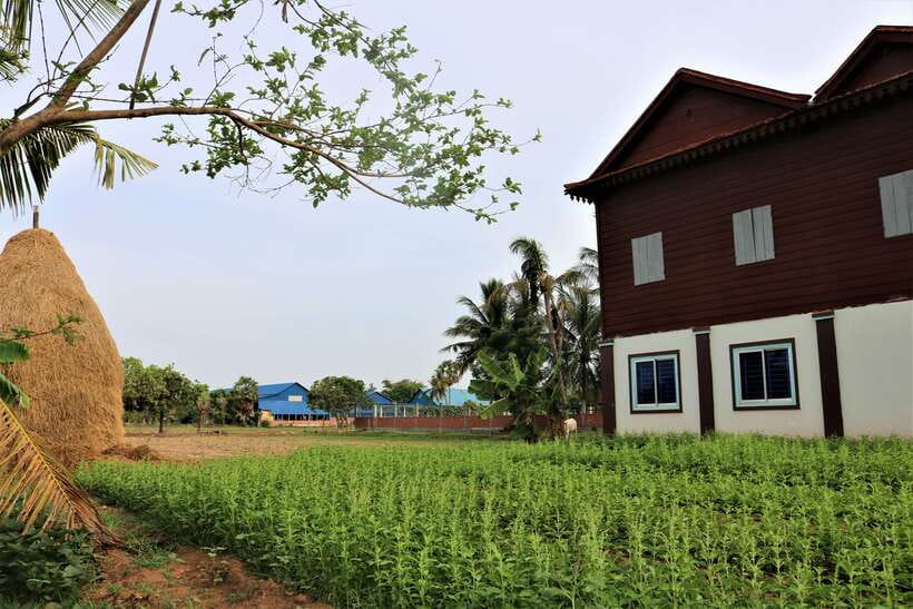 Siem Reap: Countryside Quad Bike Sunset Adventure - The Viewpoint Stop and Why It Matters for Your Photos