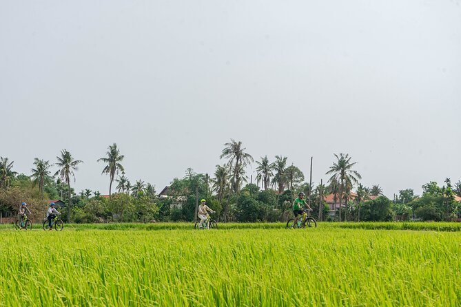 Siem Reap Countryside Sunset Bike Tour / E-Bike or Tuk Tuk - Key moments worth circling on your map