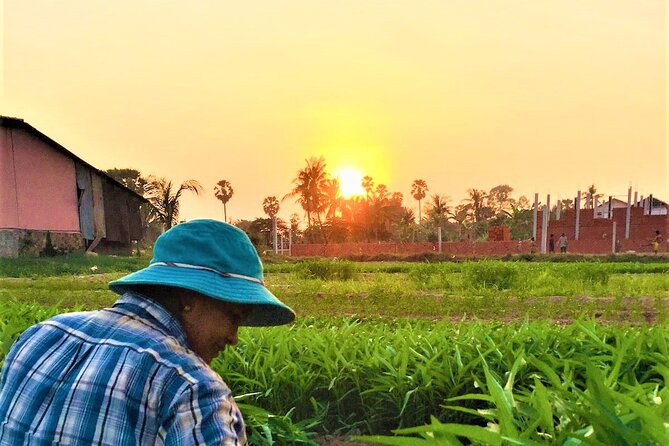 Siem Reap Countryside Sunset Jeep Tour - Half-day - Rice Paddies, Lotus Farms, and Quiet Rural Stop Moments