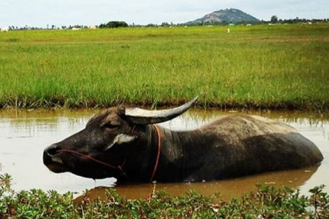 Siem Reap Countryside Sunset Jeep Tour - Half-day - What Is Included, What Isn’t, and What to Bring