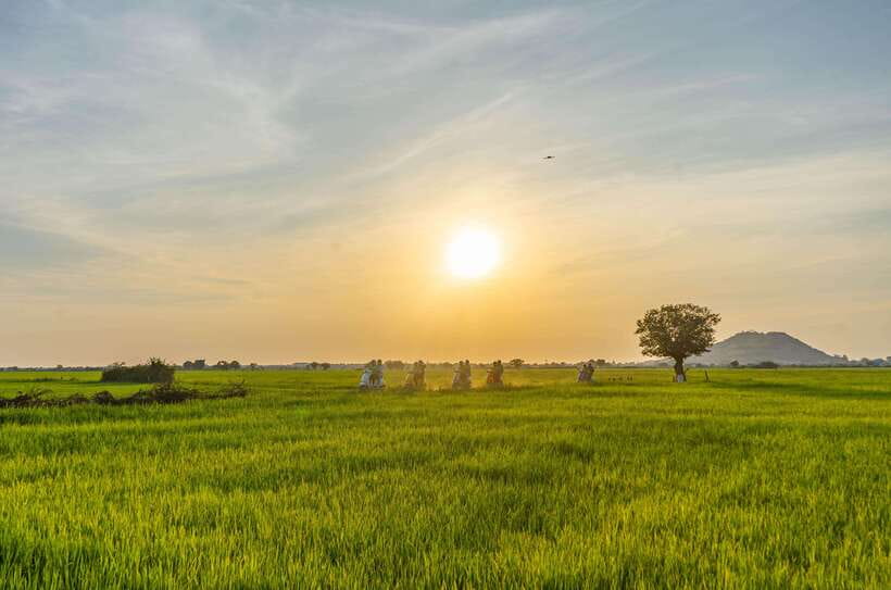 Siem Reap Countryside Sunset Vespa Tour or Tuk Tuk - Quick highlights (the good stuff you’ll remember)