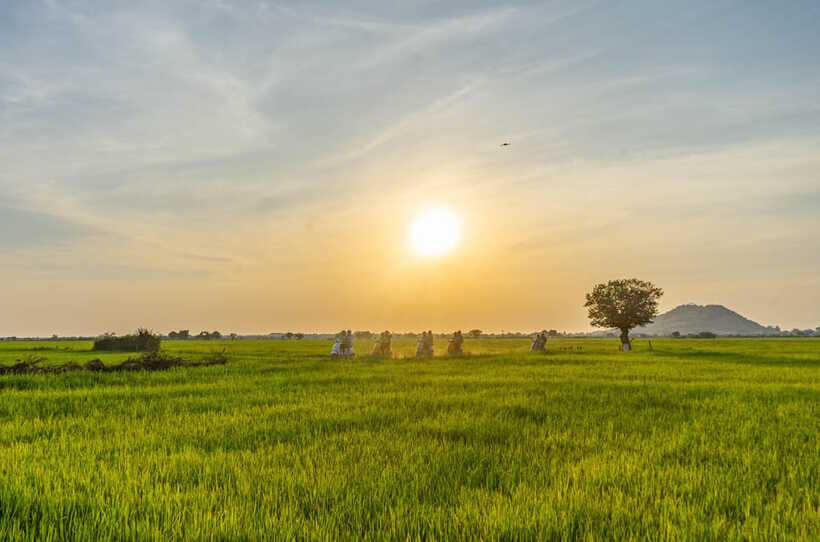 Siem Reap Countryside Sunset Vespa Tour or Tuk Tuk - Lake moment and floating sundowners before the sky turns