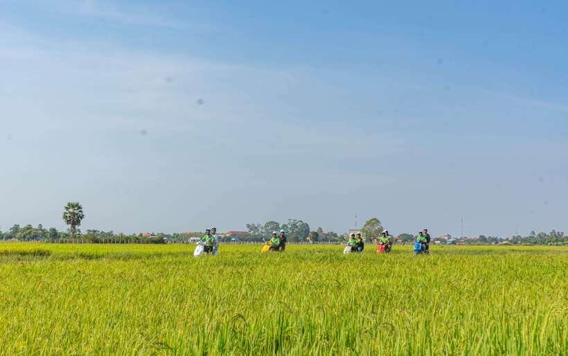 Siem Reap Countryside Sunset Vespa Tour or Tuk Tuk - Phnom Krom at sunset: your best photo hour is end-of-day