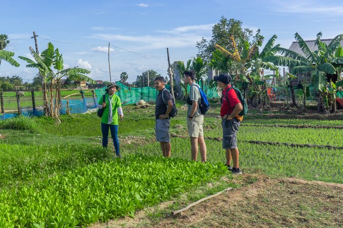 Siem Reap Countryside Sunset Vespa Tour / Tuk Tuk Available - Vespa vs Tuk Tuk or Private Car: Choose Comfort Smartly
