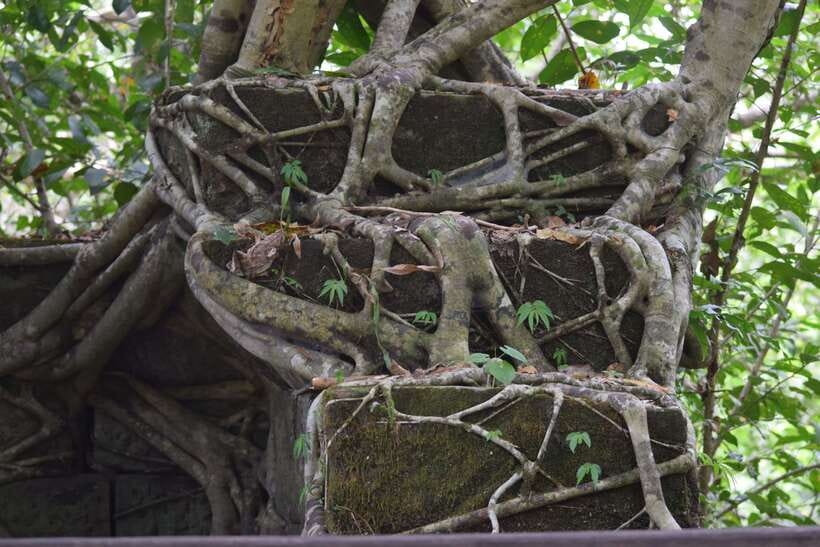 Siem Reap: Day Trip to Koh Ker and Beng Mealea Temples - Beng Mealea Jungle Temple: A Late 11th Century Walk-Through
