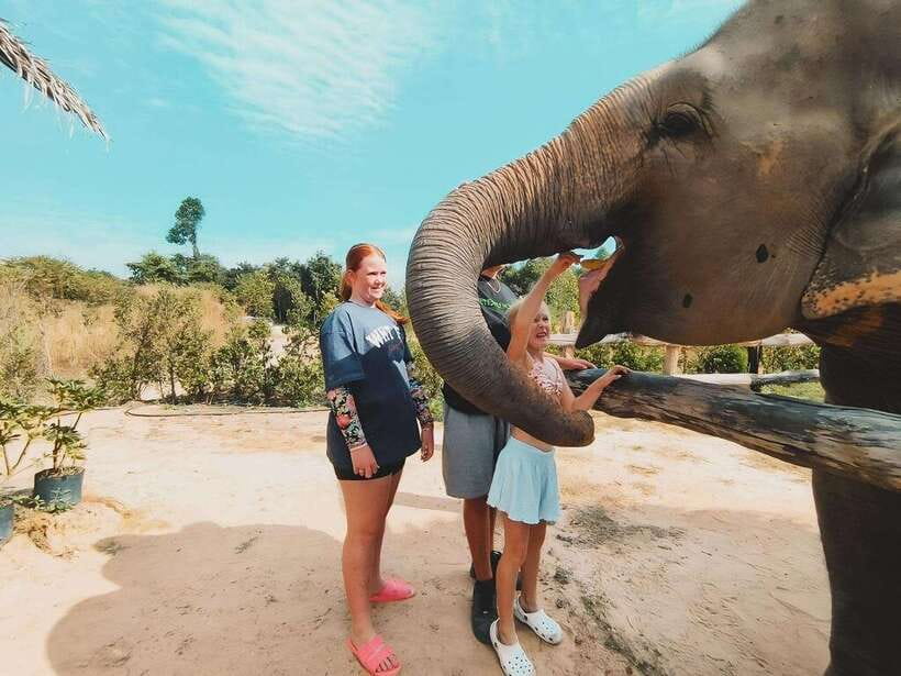 Siem Reap: Elephant Sanctuary Included Hotel Pickup Drop-off - Key Highlights You’ll Care About