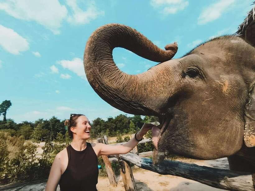 Siem Reap: Elephant Sanctuary Included Hotel Pickup Drop-off - Siem Reap Hotel Pickup and the Reality of Timing