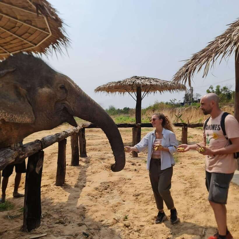 Siem Reap: Elephant Sanctuary Included Hotel Pickup Drop-off - Preparing Nutritious Elephant Meals: More Than Just Feeding