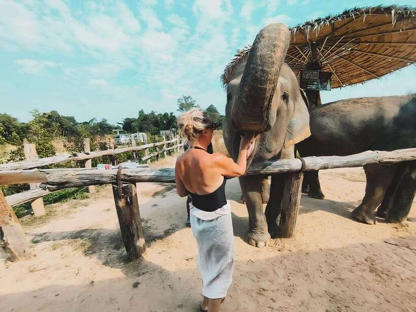 Siem Reap: Elephant Sanctuary Included Hotel Pickup Drop-off - Mud Bath Time with a Lesson on Digestive Well-Being