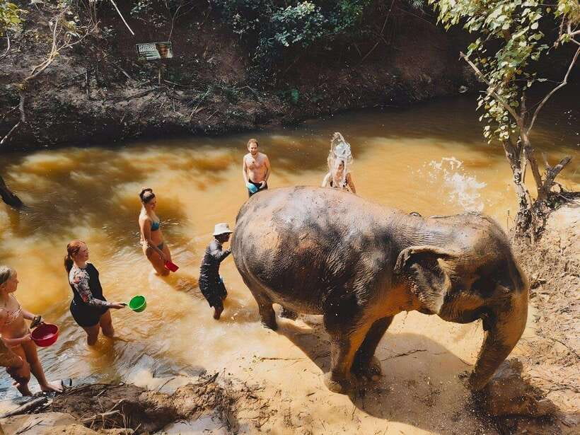 Siem Reap: Elephant Sanctuary Included Hotel Pickup Drop-off - Bathing Session: Cooling Off, Getting Wet, and Staying Comfortable