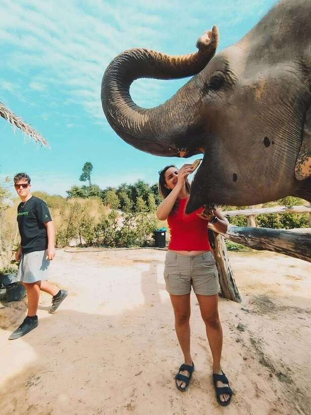 Siem Reap: Elephant Sanctuary Included Hotel Pickup Drop-off - Tour Logistics That Can Affect Your Day