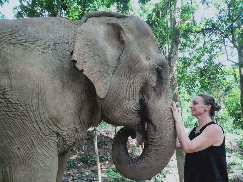 Siem Reap: Elephants & Apopo Rat Demining Private Trip - Key highlights you will care about