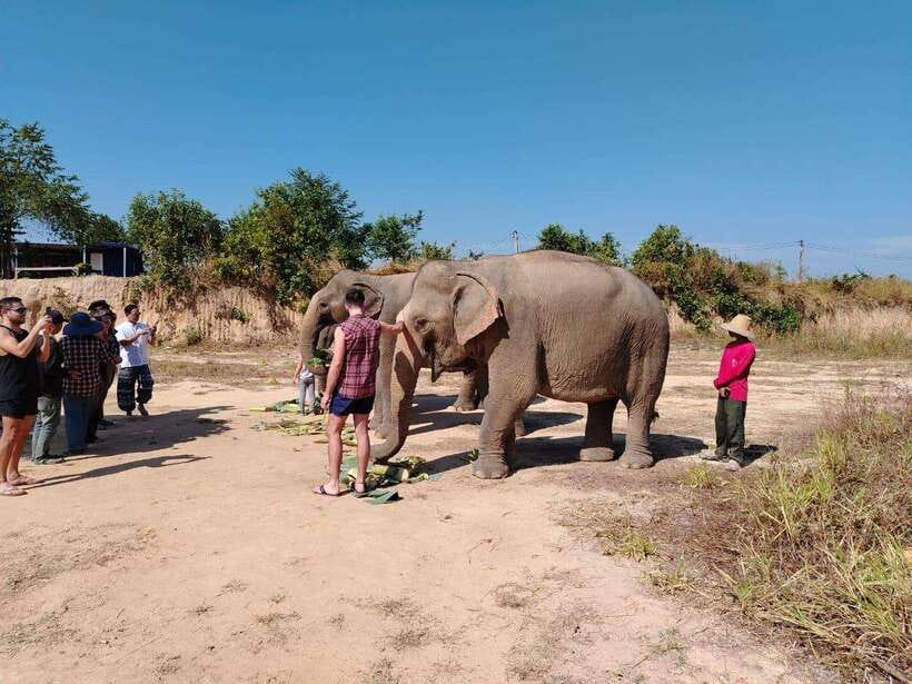 Siem Reap: Elephants & Apopo Rat Demining Private Trip - Guides, comfort, and the small extras that make it smoother