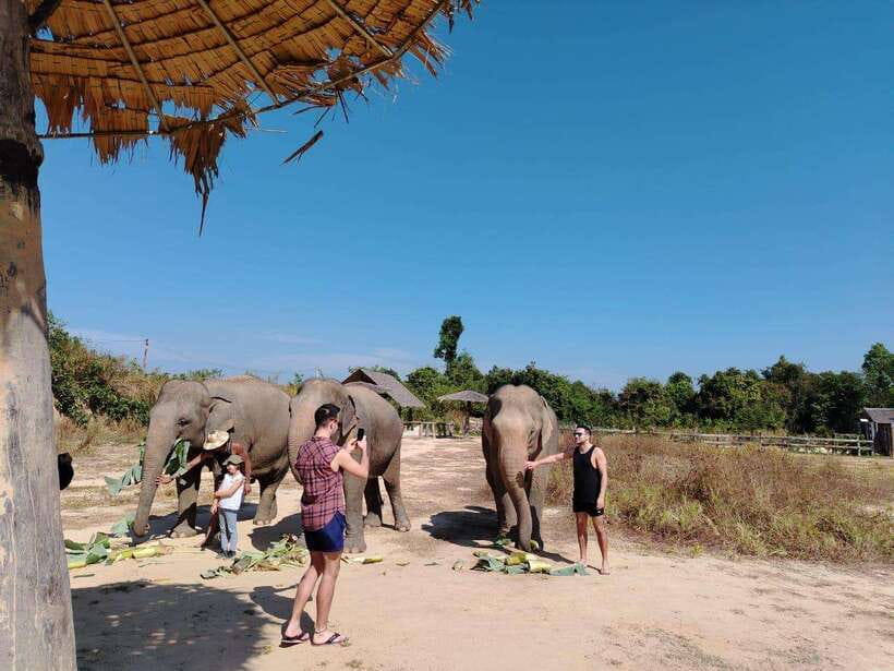 Siem Reap: Elephants & Apopo Rat Demining Private Trip - Price and total value: the $15 base fee plus entry tickets