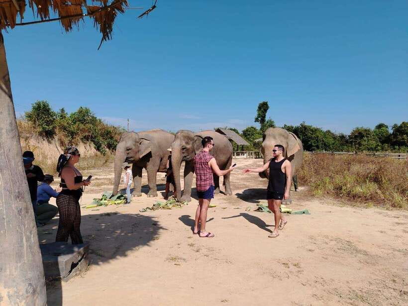 Siem Reap: Elephants & Apopo Rat Demining Private Trip - Practical tips: what to bring, how to time photos, and what to ask