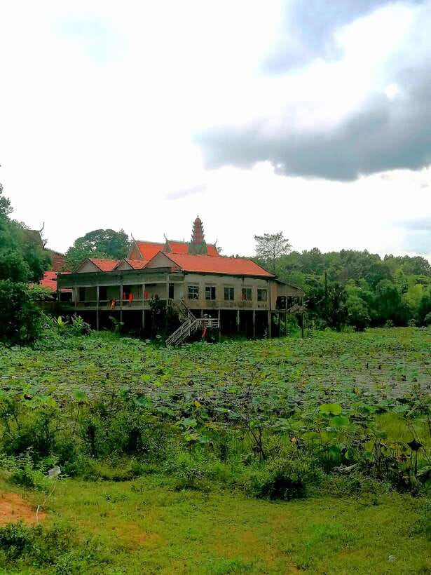 Siem Reap: Fishing in the rice fields, in the villages of Siem Reap - Markets, Villages, and Learning How Locals Think