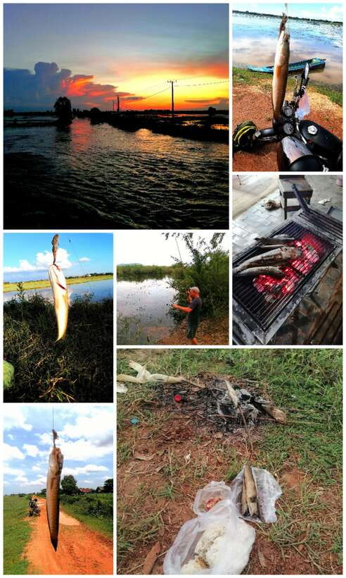 Siem Reap: Fishing in the rice fields, in the villages of Siem Reap - The Snakehead Bite: Why This Feels So Different
