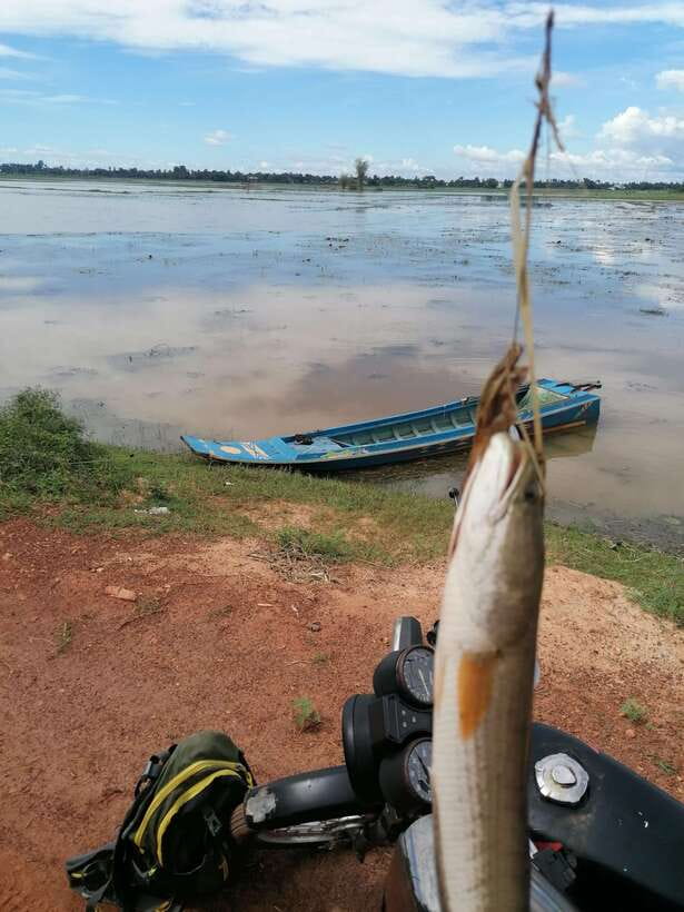 Siem Reap: Fishing in the rice fields, in the villages of Siem Reap - Lunch in a Surrounding Village and Time to Reset
