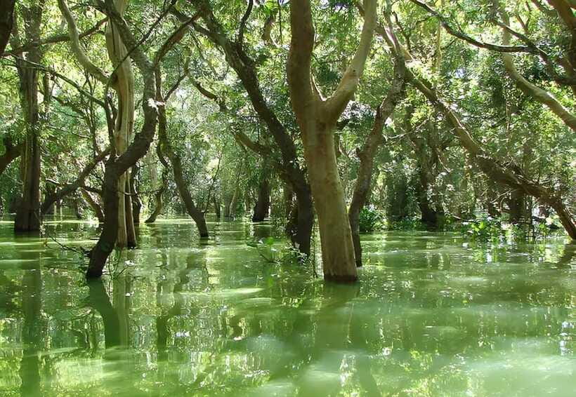 Siem Reap: Floating Village, Kampong Phluk Private Tour - How to choose the right season: wet season wins, dry season changes the feel
