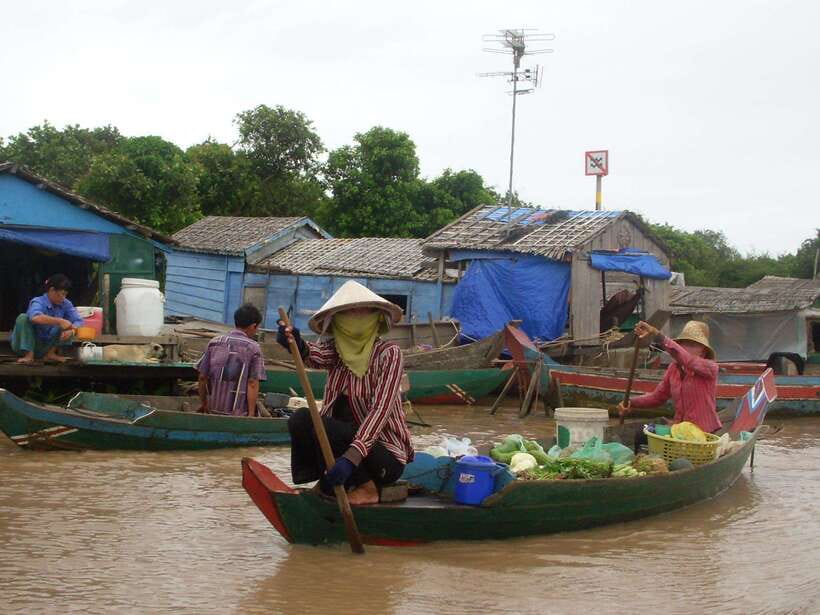 Siem Reap: Floating Village Tour - Lotus flower farm: the small stop that sets the cultural tone