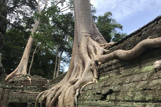 Siem Reap Full Day Angkor Wat Tour Small Group - Price and the real total: $19 tour, $37 entrance per person
