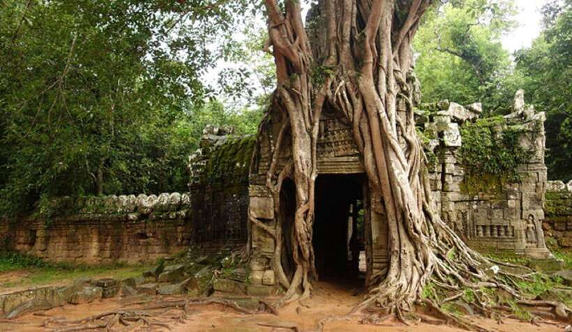 Siem Reap: Grand Circle Temples Tour With Private Tuk-Tuk - Preah Khan Temple: Big-Feeling Complex With Good Time for Photos and Walking