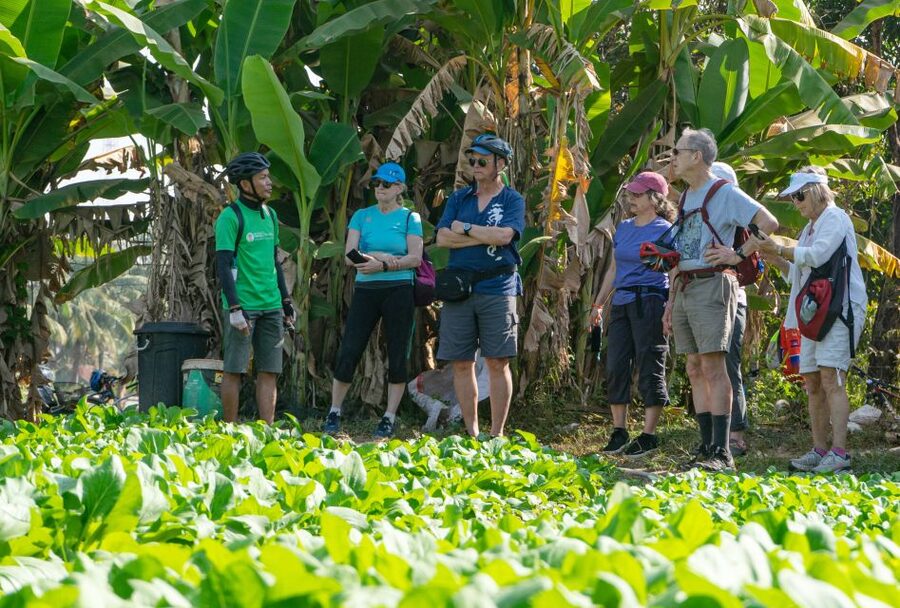 Siem Reap: Guided Countryside Bike Tour - Who this Siem Reap countryside bike tour suits best