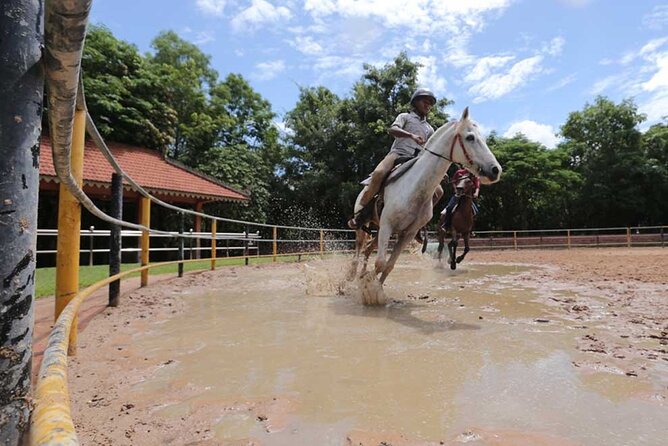 Siem Reap Happy Horse Riding Free Pick-up & Drop-off - Key highlights worth knowing before you go