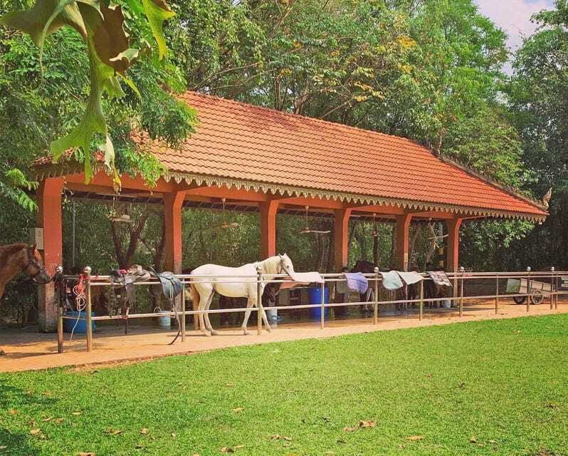 Siem Reap Happy Horse Riding Free Pick-up & Drop-off - Price and value: is $72 worth it in Siem Reap?