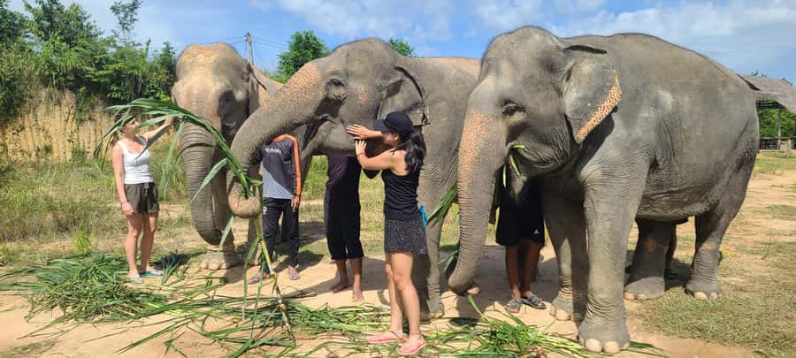 Siem Reap: Kulen Elephant Forest Guided Tour - Getting there: the Angkor Village Hotel meeting point and the shuttle ride