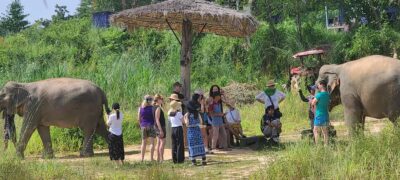 Kulen Elephant Forest Guided Tour