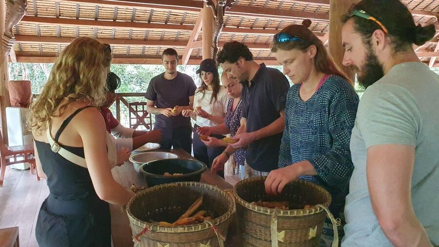 Siem Reap: Kulen Elephant Forest Guided Tour - The forest walk: walking with elephants without losing the point