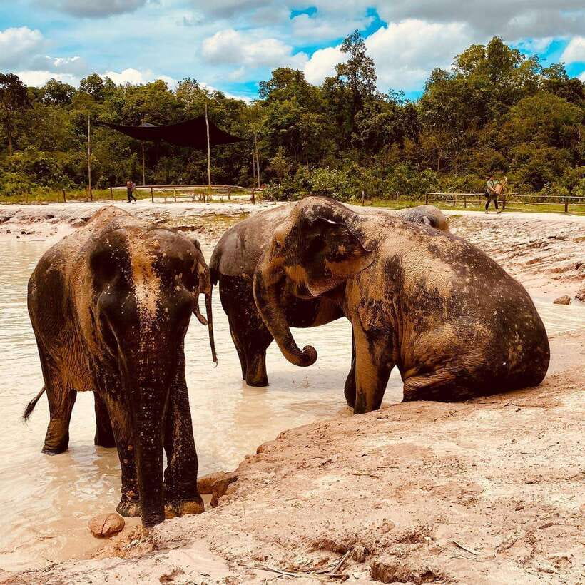 Siem Reap: Kulen Elephant Forest & Tonlesap Lake - The drive from Siem Reap: Scenic, but plan for comfort