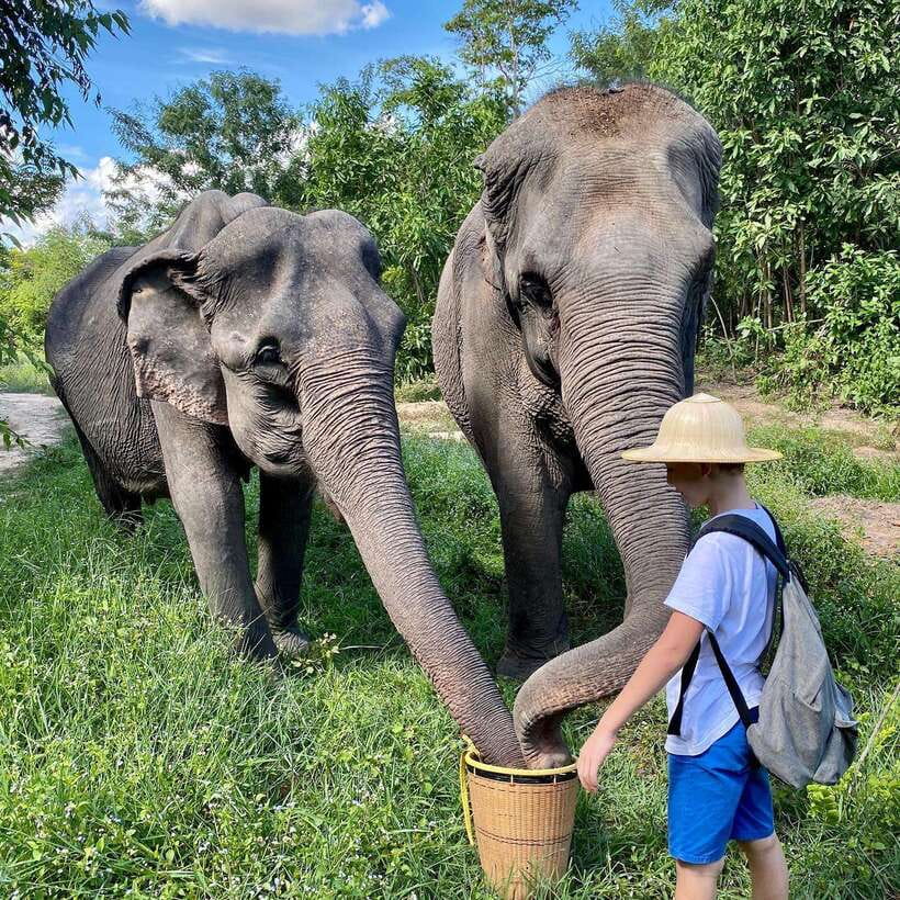 Siem Reap: Kulen Elephant Forest & Tonlesap Lake - Floating village cruising: Boat trip plus entrance, and possible canoe add-ons