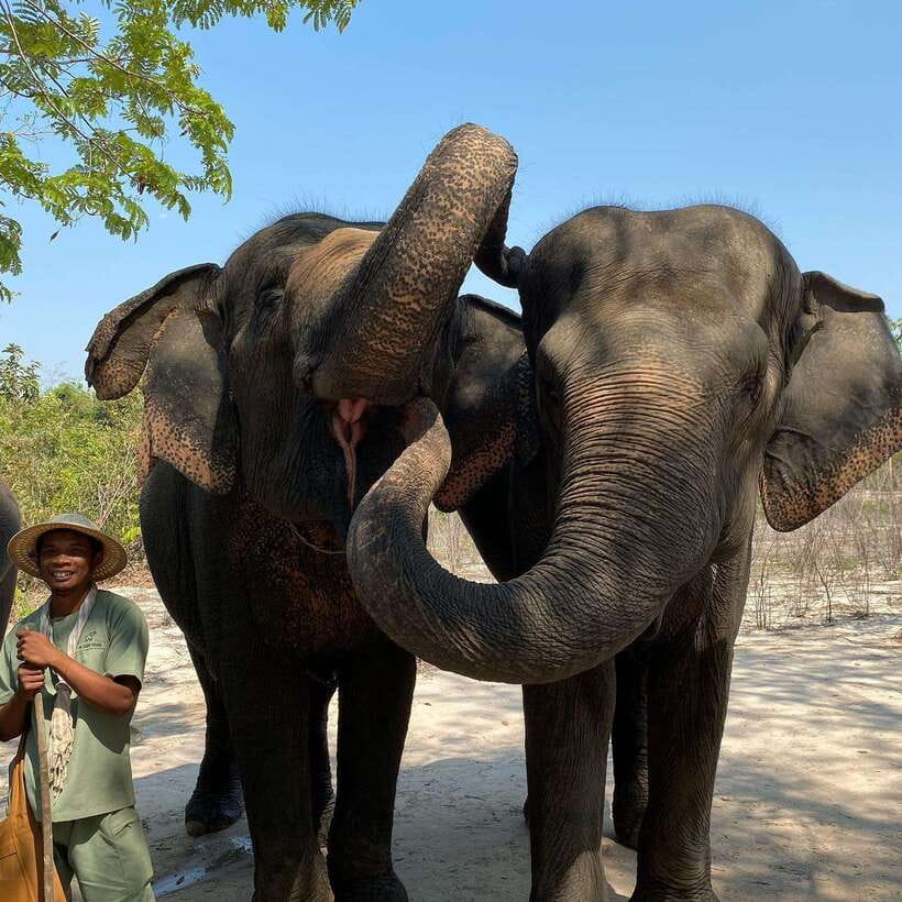 Siem Reap: Kulen Elephant Forest & Tonlesap Lake - The guided forest walk and waterfall time