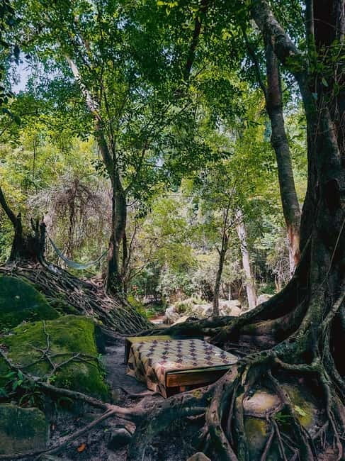 Siem Reap: Kulen Mountain, Beng Mealea, and Kampong Phluk - Price and add-on fees: what $85 really turns into
